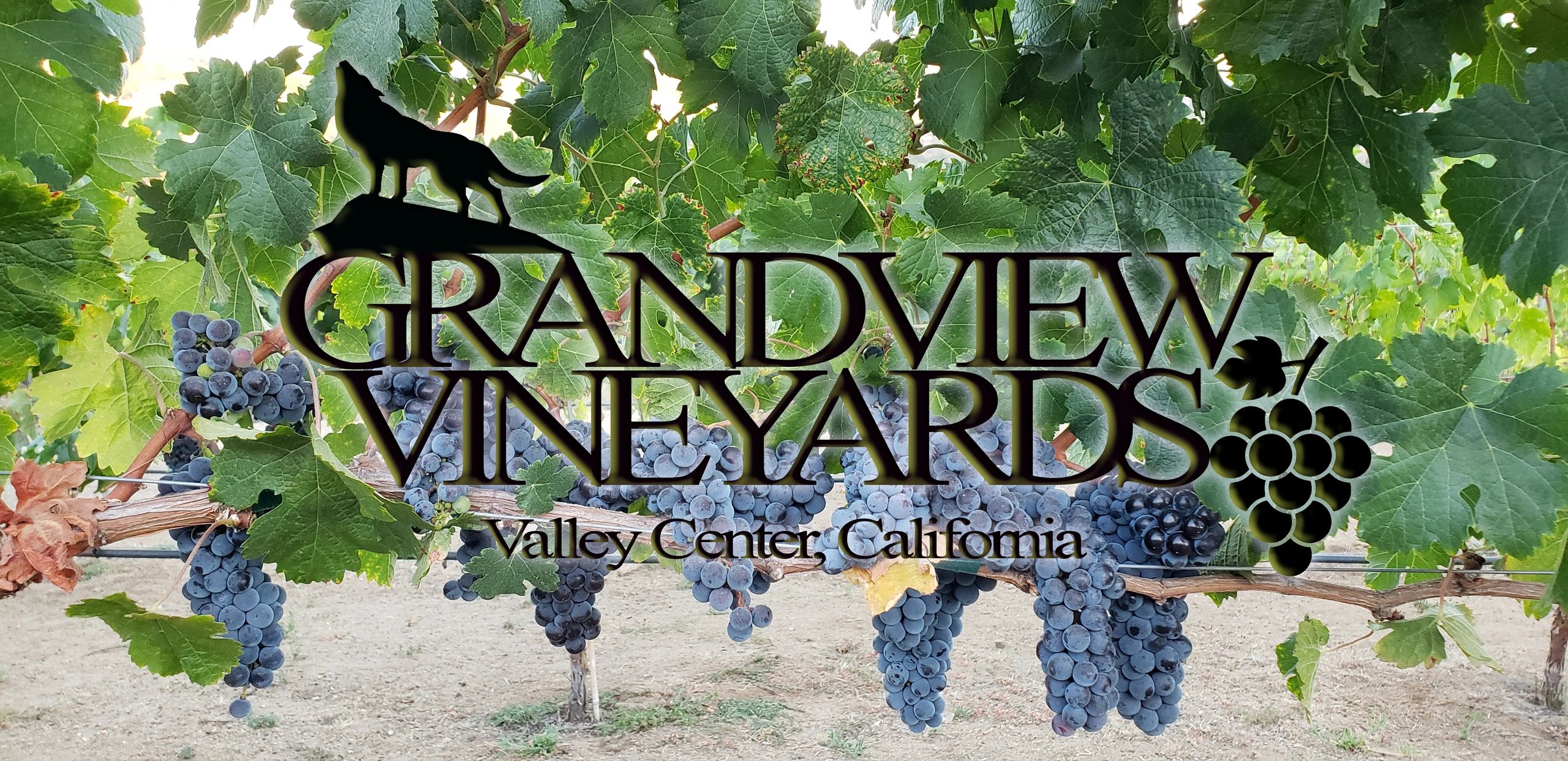 Grandview Vineyards & Winery